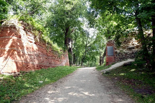 Russie Région Pskov Petite Ville Gdov Ancienne Forteresse Murs — Photo