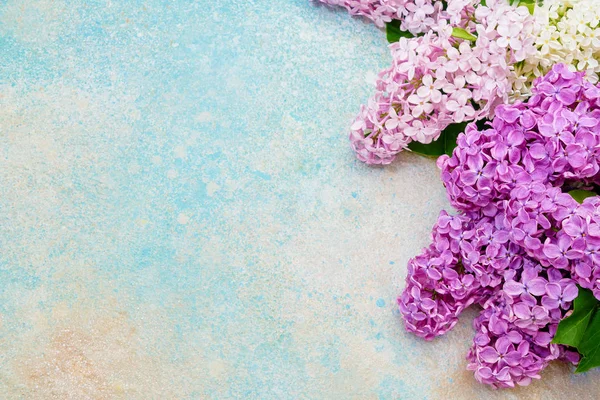 Rosafarbene Fliederblüten Umranden Pastellfarbenen Hintergrund Ansicht Von Oben Kopierraum Frühling — Stockfoto