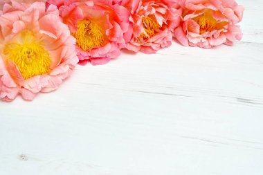Pembe peonies Beyaz ahşap arka plan üzerinde kenarlık. Alan, üstten görünüm kopyalayın. Tatil arka plan.