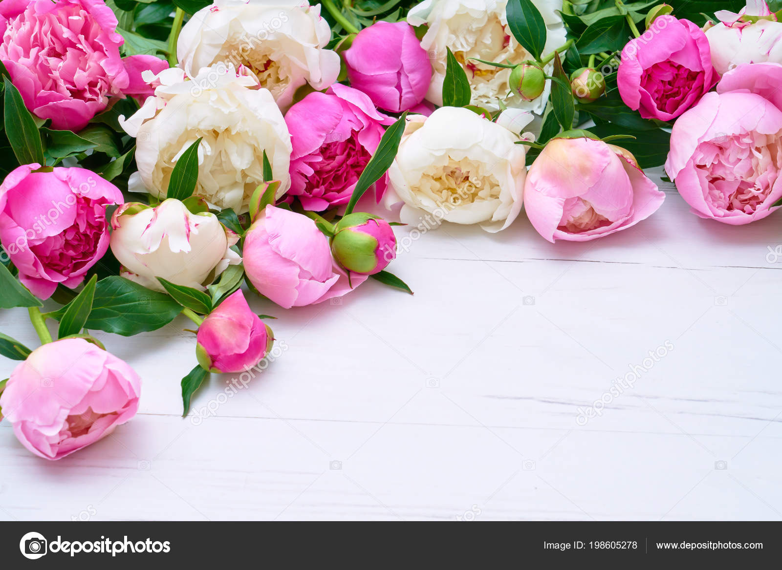 Bouquet Pivoines Blanches Roses Sur Fond Bois Blanc Fond Vacances Image Libre De Droit Par Laima Gri C