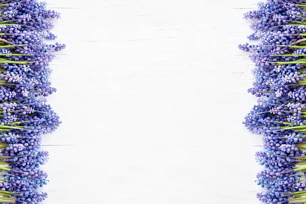 Синій Фрезії Квіти Білому Тлі Дерев Яні Скопіюйте Простору Вид — стокове фото