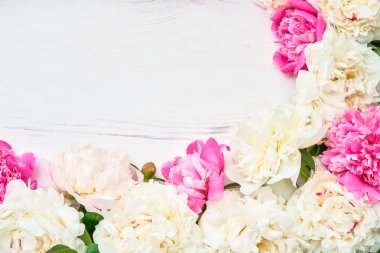 Tatil arka plan. Pembe ve beyaz peonies çerçeve beyaz ahşap zemin üzerinde. Kopya alanı, üstten görünüm.