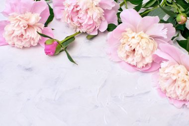 Beyaz arka plan üzerinde pembe peonies buket. Tatil arka plan, kopya alanı, üstten görünüm. Anneler günü, Sevgililer günü, Doğum günü kavramı.
