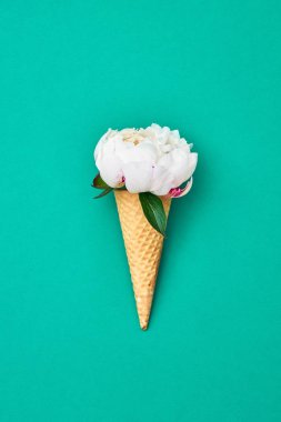 Dondurma külahı ile yeşil arka plan üzerinde beyaz şakayık çiçeği. Yaz konsepti. Minimalizm, kopya alanı, üstten görünüm