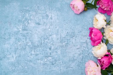 Pembe ve beyaz peonies mavi arka plan üzerinde kenarlık. Tatil arka plan, kopya alanı, üstten görünüm. Anneler günü, Sevgililer günü, Doğum günü kavramı.