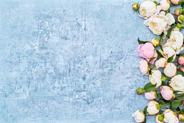 Weiße Pfingstrosen Umranden Hellblauen Hintergrund Muttertag Valentinstag Geburtstagskonzept Urlaubshintergrund Kopierraum — Stockfoto