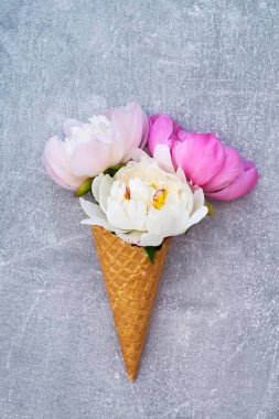 Gözleme dondurma koni gri arka plan üzerinde beyaz ve pembe şakayık çiçekleri ile. Yaz konsepti. Kopya alanı, üstten görünüm.