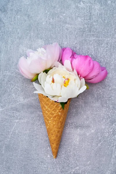 Gözleme dondurma koni gri arka plan üzerinde beyaz ve pembe şakayık çiçekleri ile. Yaz konsepti. Kopya alanı, üstten görünüm.
