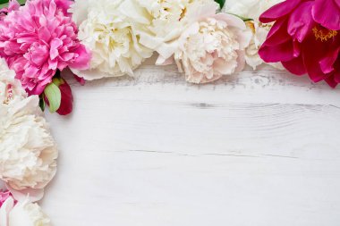 Beyaz ahşap arka plan üzerinde renkli peonies. Alan, üstten görünüm kopyalayın. Düğün, Doğum günü, Sevgililer günü, anneler günü kavramları