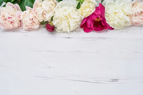 Farbenfrohe Pfingstrosen Grenzen Weißen Holzgrund Kopierraum Draufsicht Geburtstag Hochzeit Valentinstag — Stockfoto