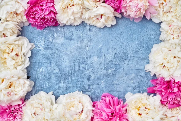 Rosafarbene Und Weiße Pfingstrosen Umrahmen Den Blauen Hintergrund Kopierraum Draufsicht — Stockfoto