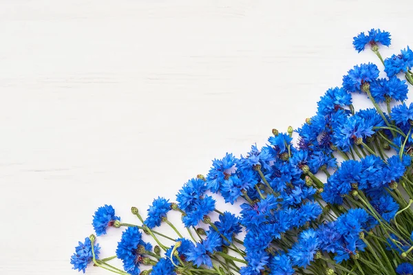 Blauer Kornblumenrand Auf Weißem Holzhintergrund Ansicht Von Oben Kopierraum Sommer — Stockfoto