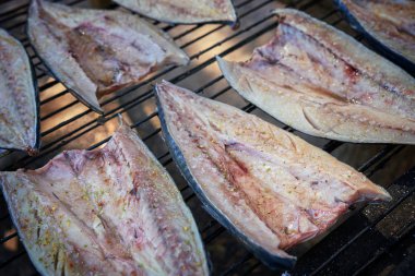 İşlem sigara balık. Otlar ve sarımsak ile füme uskumru. Sigarayı kapatın. Yukarıdan görünüm, seçici odak