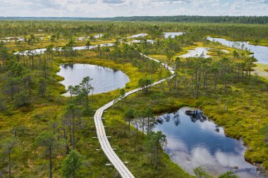 Yükseltilmiş bataklık. Letonya kemeri Milli Parkı. Yaz. Havadan görünümü
