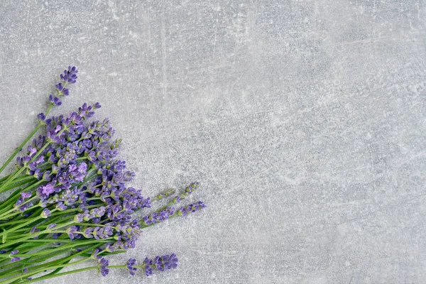 Lavanta Çiçekleri Buketi Gri Arka Plan Üzerinde Alan Üstten Görünüm — Stok fotoğraf