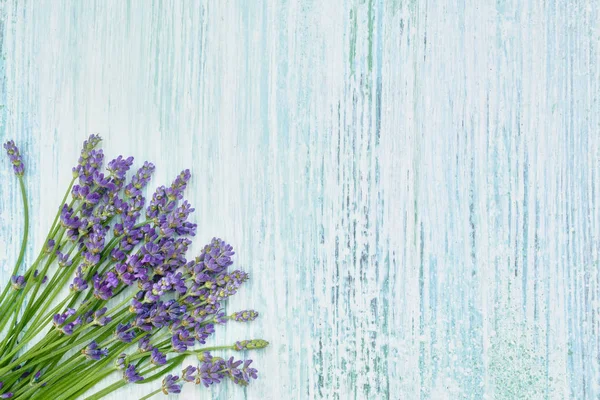 Levendula Virág Csokor Kék Háttér Háttér Másolja Hely Felülnézet Wellness — Stock Fotó