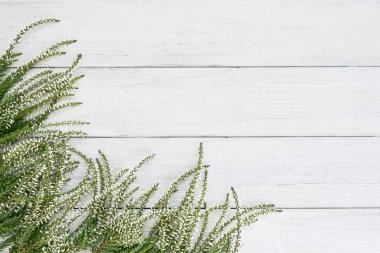 Beyaz ahşap zemin üzerinde beyaz ortak heather sınır. Alan, üstten görünüm kopyalayın. Beyaz Calluna vulgaris çiçekler.