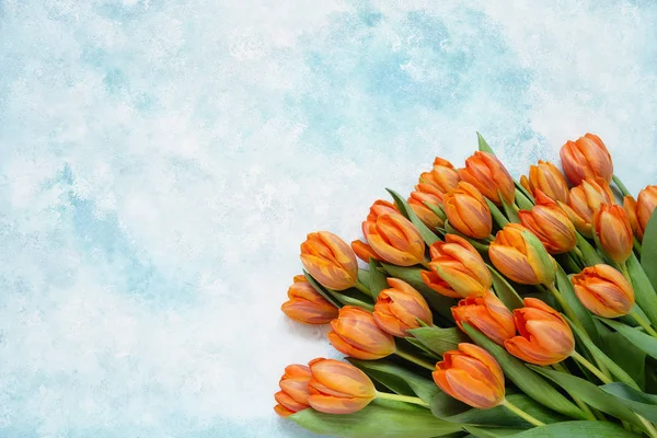 Strauß Orangefarbener Tulpen Auf Hellblauem Hintergrund Kopierraum Draufsicht Flache Lage — Stockfoto