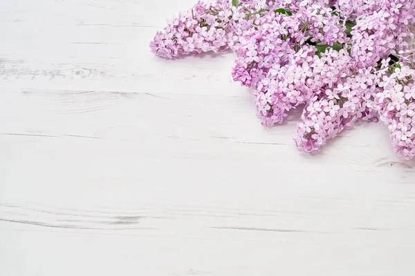 Lila Blüten Rand Auf Weißem Hintergrund Ansicht Von Oben Kopierraum — Stockfoto