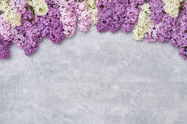Frühling Flieder Blumen Auf Grauem Hintergrund Ansicht Von Oben Kopierraum — Stockfoto