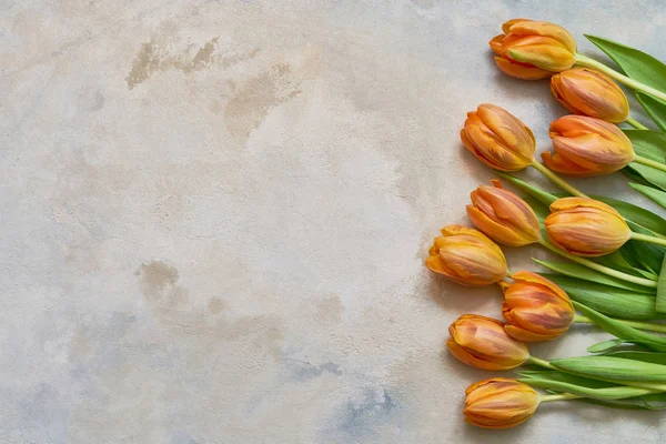 Orangefarbene Tulpen Auf Buntem Aquarell Hintergrund Kopierraum Draufsicht Flat Lag — Stockfoto