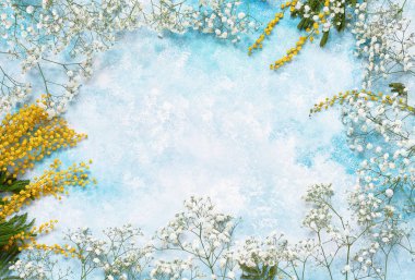Bahar çiçekleri ve arka plan Mimoza gypsophila. Kopya alanı