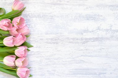 Beyaz ahşap zemin üzerinde Pembe Lale buketi. Görünümü en çok, uzay kopyalayın. Düz Sevgililer günü, anneler günü, doğum günü kutlama kavramı yatıyordu.