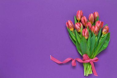 Pembe Lale Menekşe arka plan üzerinde şerit ile dekore edilmiştir. Görünümü en çok, uzay kopyalayın. Anneler günü, doğum günü, Uluslararası Kadınlar Günü, Sevgililer günü kavramı. Tebrik kartı.