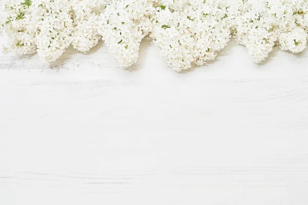 Weiße Lila Blüten Auf Weißem Hintergrund Ansicht Von Oben Kopierraum — Stockfoto