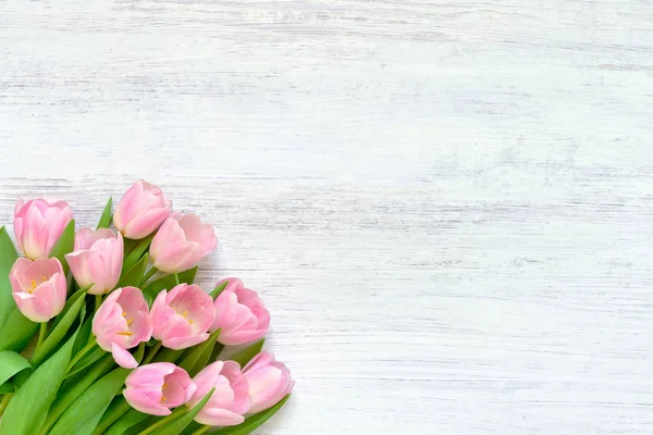 Pink tulips on white background. Top view, copy space. Greeting — Stock Photo, Image