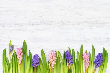 Sümbül çiçek buketi Beyaz ahşap zemin üzerinde. Üstten Görünüm, kopya alanı.