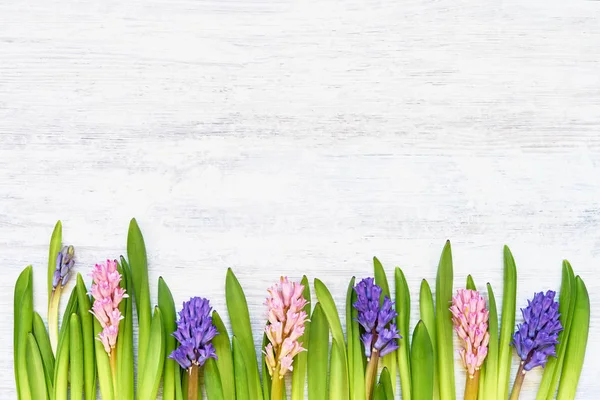 Hyazinthen-Blumenstrauß auf weißem Holzhintergrund. Ansicht von oben, Kopierraum. — Stockfoto