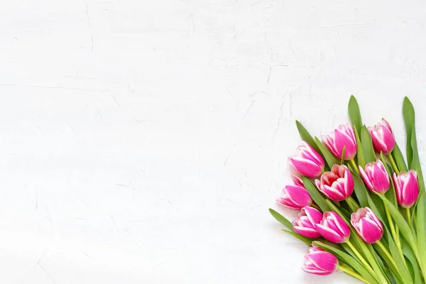 Букет розовых тюльпанов на белом фоне. Вид сверху, пространство для копирования — стоковое фото