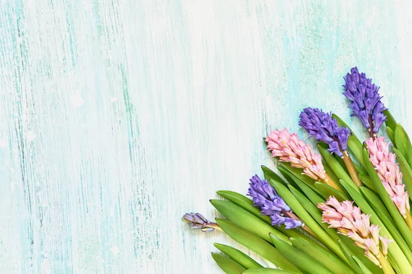 Hyazinthen-Blumenstrauß auf blauem Hintergrund. Ansicht von oben, kopieren Sie spac — Stockfoto