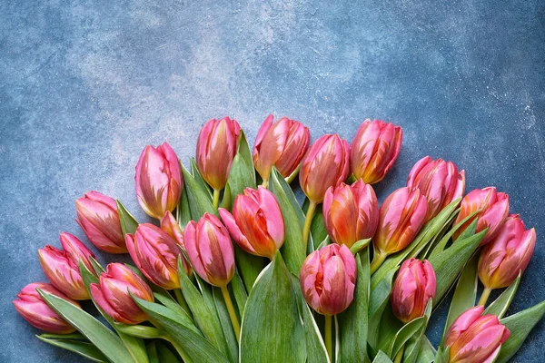 Pink tulips bouquet on blue background. Copy space, top view. — Stock Photo, Image