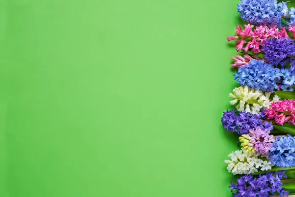 Yeşil arka planda Hyacinth çiçekler sınırı. Üstteki görünüm, kopya alanı. — Stok fotoğraf