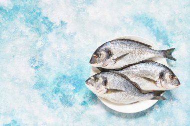 Mavi zemin üzerine taze Kraliyet Dorada. Sağlıklı gıda kavramı. Sayfanın Üstü