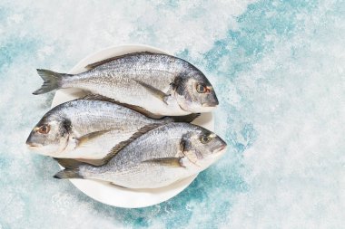 Mavi arka plan üzerinde üç taze Kraliyet Dorada. Sağlıklı gıda concep