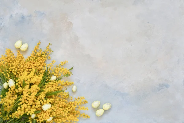 Fond de Pâques. Fleurs de mimosa et décoration de Pâques sur bleu — Photo