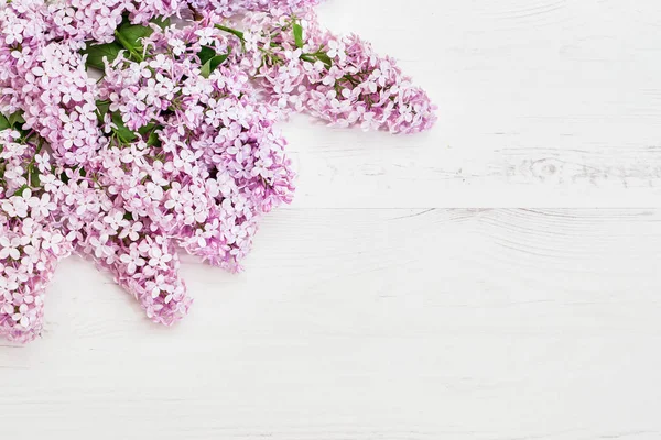 Blumenmuster aus rosa lila Zweigen, Blumen Hintergrund. flache Lage, Draufsicht. — Stockfoto