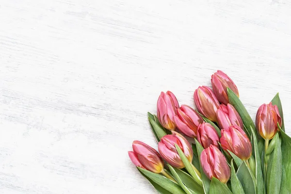 Bouquet de tulipes roses sur fond blanc. Vue du dessus, espace de copie — Photo