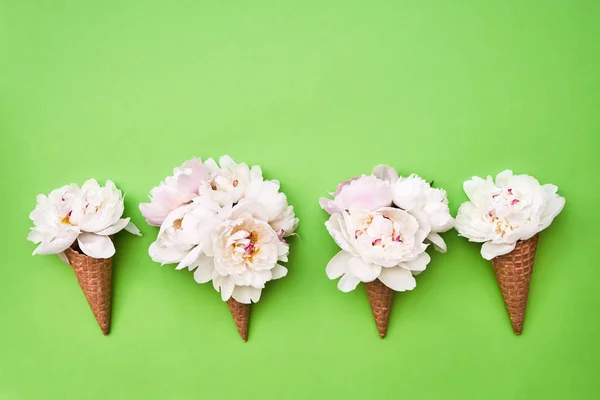Quatre cônes de crème glacée gaufrée avec des fleurs de pivoine blanche sur ba vert — Photo