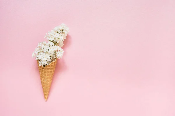 Fleurs lilas blanches dans un cône de crème glacée gaufre sur fond rose — Photo