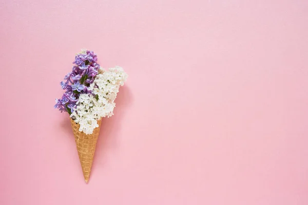 Fleurs de lilas dans un cône de crème glacée gaufre sur fond rose. Somme — Photo