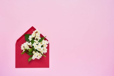 Pembe pastel arka planda Philadelphia veya Mock-Orange çiçekler. Doğum günü, anneler günü, bekarlığa veda, düğün konsepti. Kopya alanı, üst görünüm