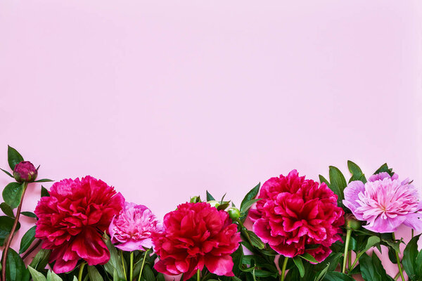 Bouquet of pink and red peonies on pink background. Copy space, top view. Mothers Day, Birthday, International Women's Day, Valentines Day concept.
