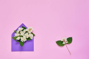 Philadelphus veya pembe arka plan üzerinde mor zarf içinde sahte turuncu çiçekler. Tebrik kartı. Kopyalama alanı