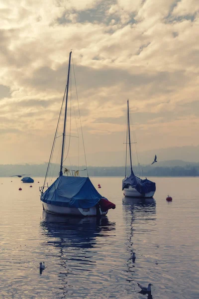 İsviçre'de Zürih Gölü'nde tekneler. Avrupa