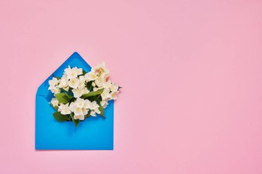 Yasemin, Philadelphus veya pembe arka plan üzerinde mavi zarf içinde sahte turuncu çiçekler