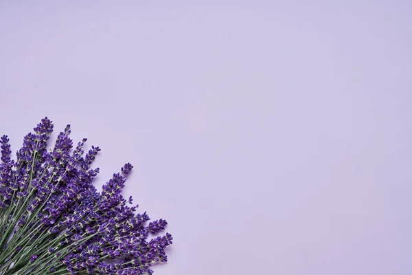 Buquê de flores de lavanda em pano de fundo lilás. Espaço de cópia, vista superior . — Fotografia de Stock